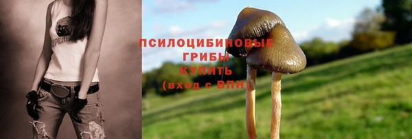 таблы Алексин