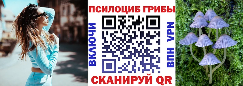 Галлюциногенные грибы мицелий  мега ТОР  Адыгейск 