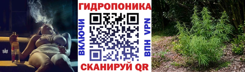 сколько стоит блэк спрут ONION МАРИХУАНА гибрид Адыгейск